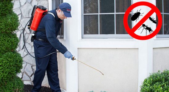 Çamoluk Bit İlaçlama böcek ilaçlama ve haşere kontrolü — ilaclama-tr.com